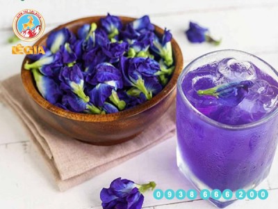 Trà hoa đậu biết có tác dụng gì?